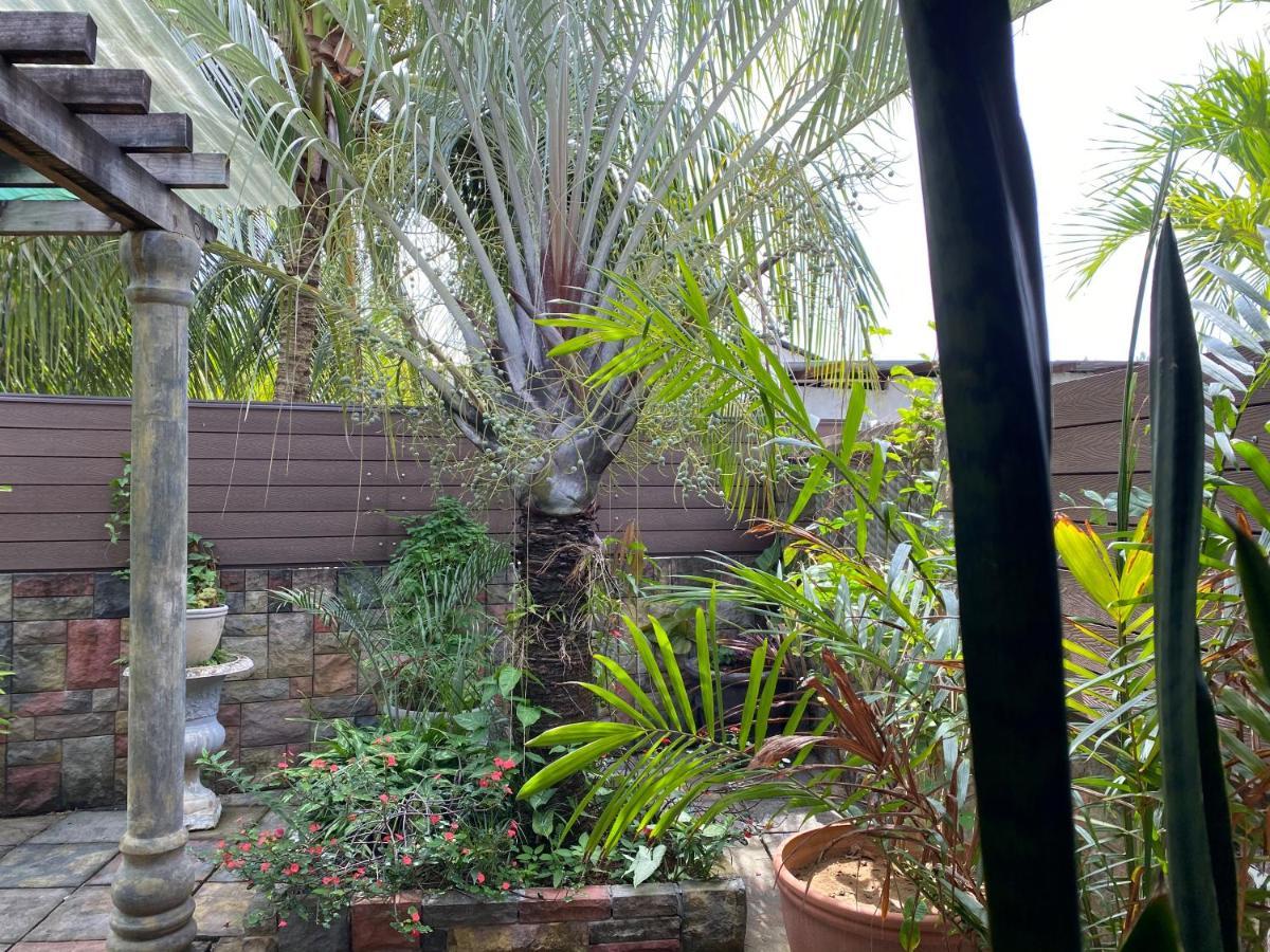 Effie Mountain View Gecko Villa Misere Exterior foto